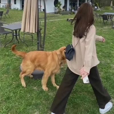 长脚女佣