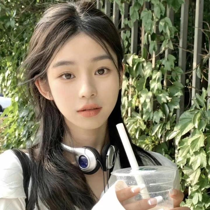 白鸥啊 不要飞起来